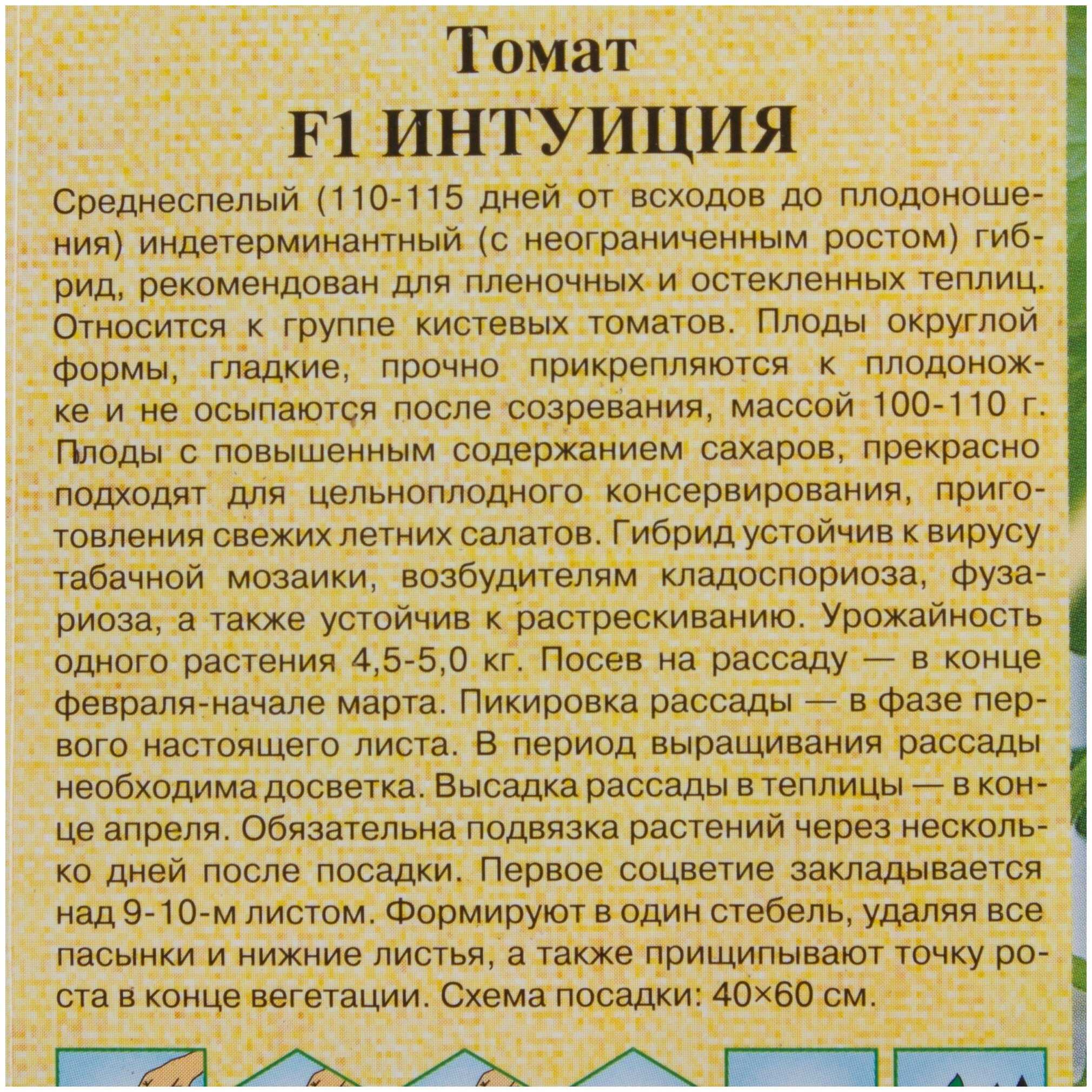 Томат интуиция f1: отзывы и фото, описание, посадка и уход - общая информация - 2020