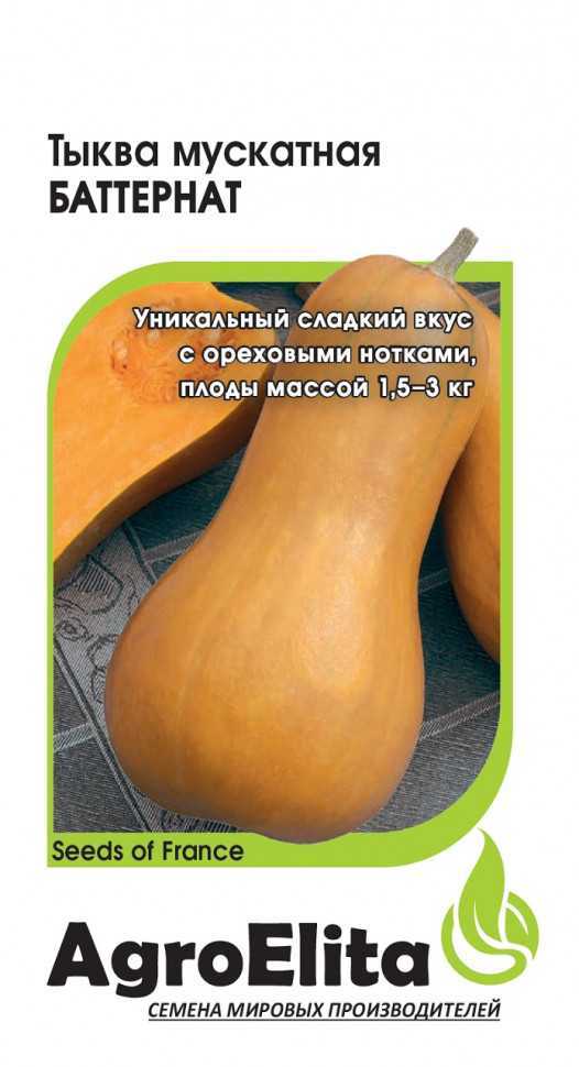 Тыква Баттернат: описание сорта, характеристики, достоинства и недостатки Полезные свойства продукта Правила выращивания Рецепты приготовления Отзывы огородников