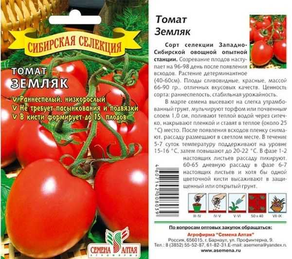 Томат безразмерный: описание сорта, отзывы об урожайности