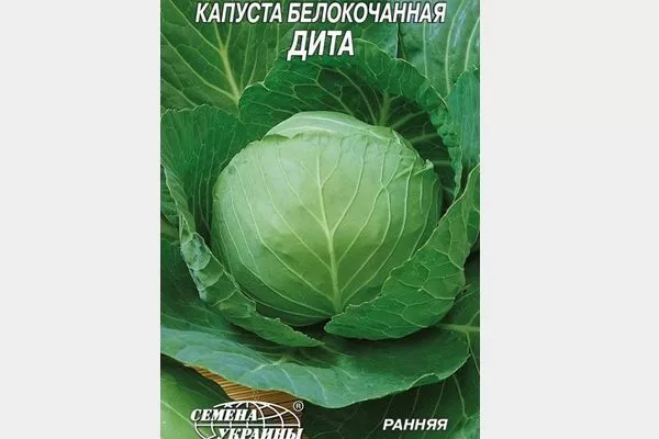 Самые урожайные и вкусные сорта капусты по мнению опытных садоводов