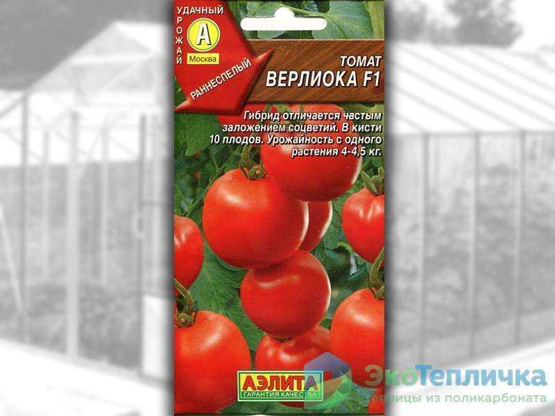 Томат верлиока: урожайность и характеристика сорта, отзывы