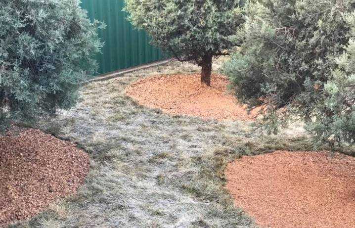 Скорлупа грецкого ореха: применение в огороде, на даче, в саду
