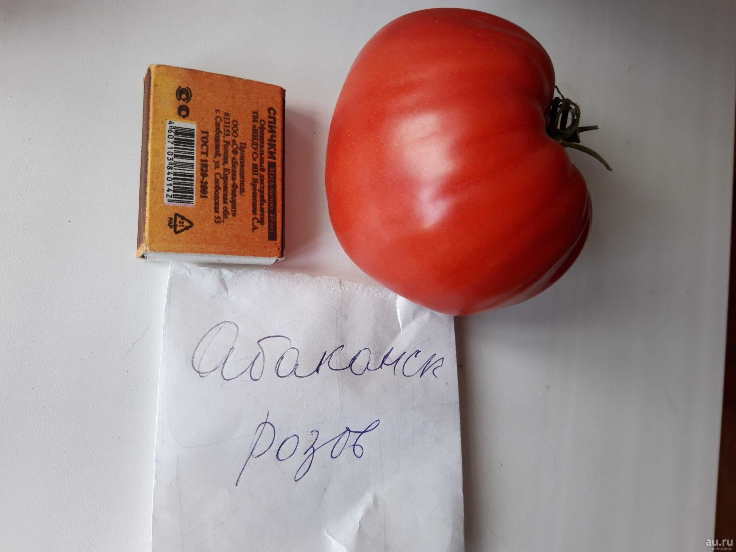 Томат абаканский розовый — описание сорта с фото