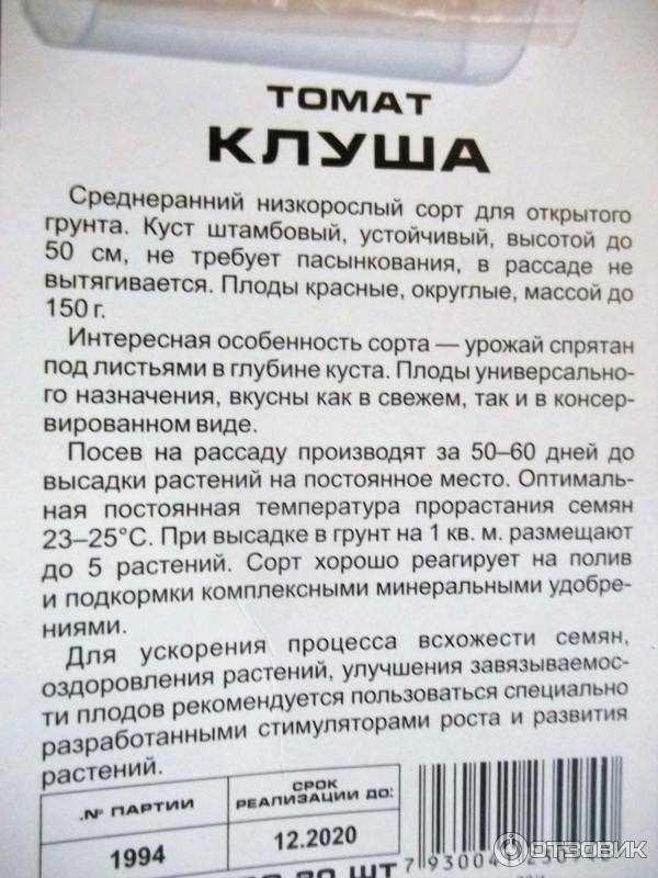 Томат Клуша Супер клуша: характеристика и описание сорта, отзывы, фото, урожайность Рекомендации по выращиванию и уходу