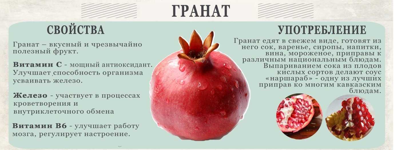 Гранат: польза, свойства, калорийность | food and health