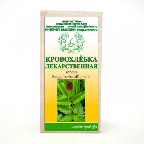 Применение, лечебные свойства и противопоказания травы кровохлебка