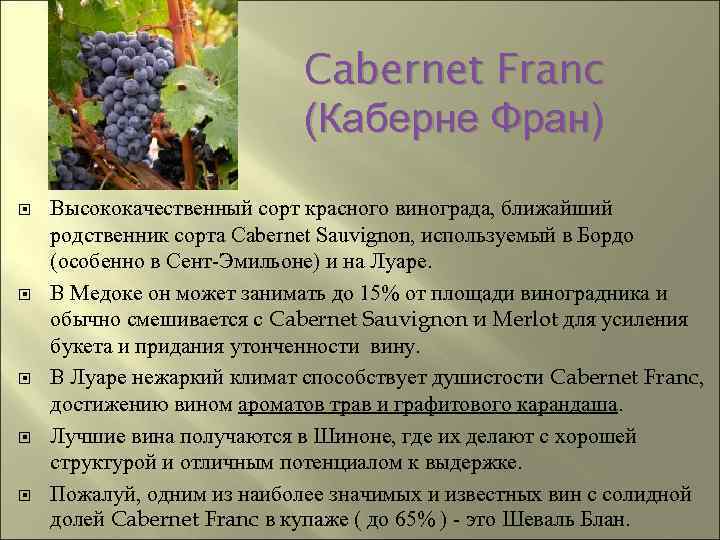 Виноград каберне совиньон: селекция, описание, разновидности, посадка и уход, достоинства, характеристика вина, отзывы