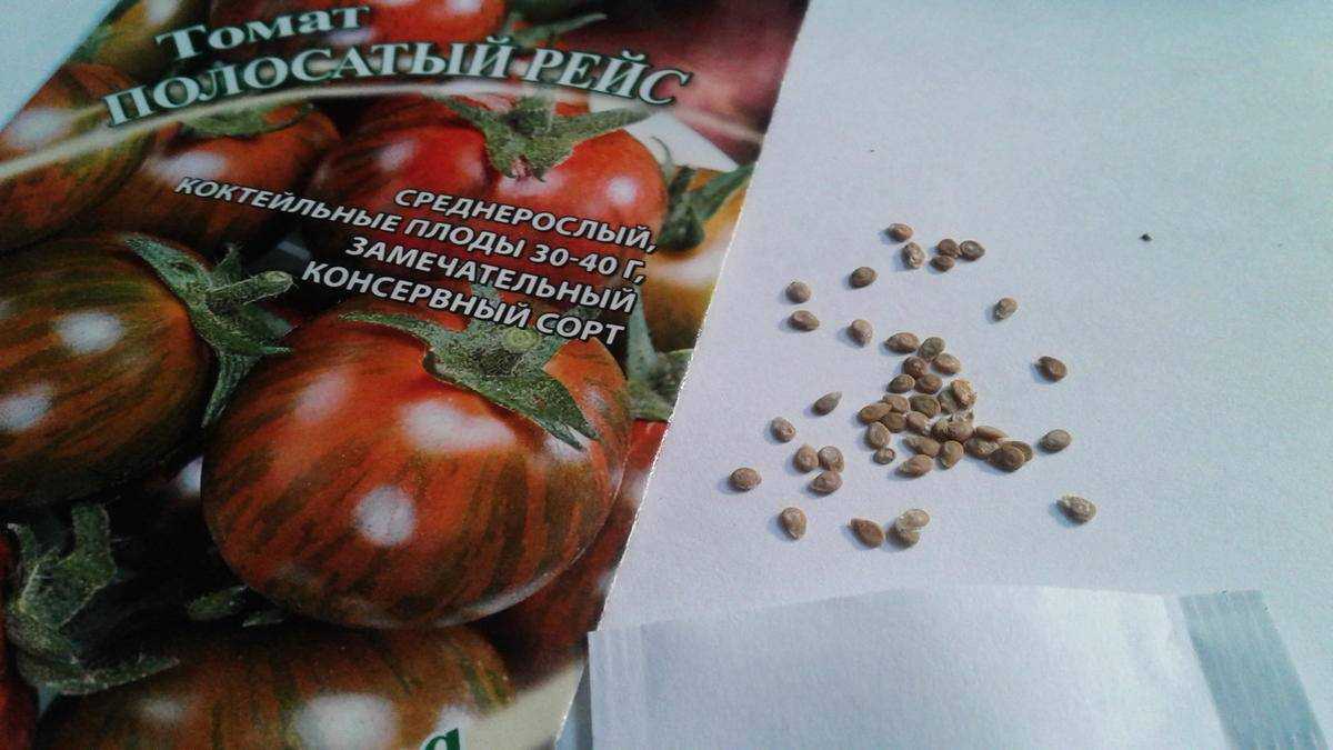 Томат «полосатый шоколад» («chocolate stripes», «шоколадные полосы») – отзывы, фото, характеристики и описание сорта