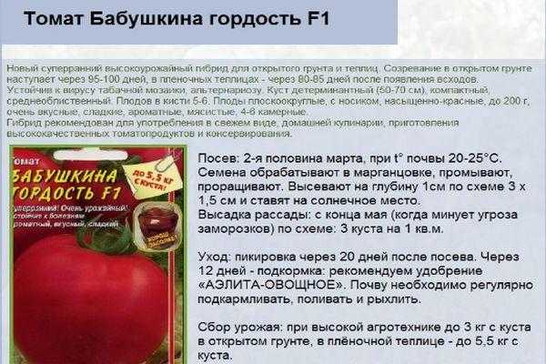 Описание томата вова путин, характеристика плода и особенности выращивания