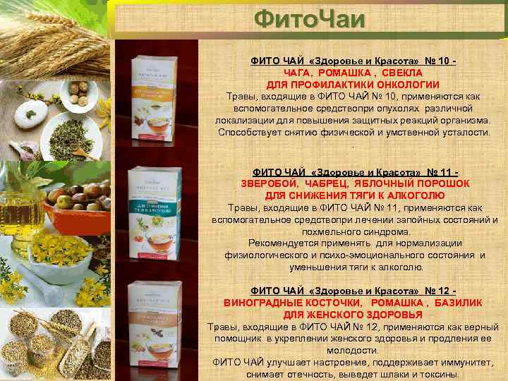 Чага при онкологии: действительно ли помогает? отзывы