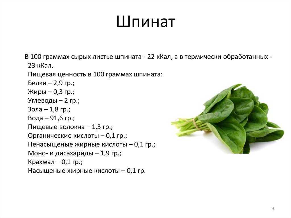 Выращивание листового салата на подоконнике