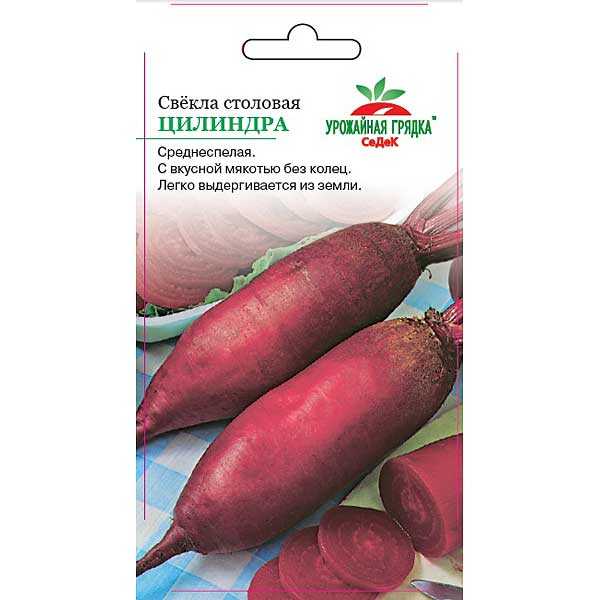 Технология выращивания столовой свеклы