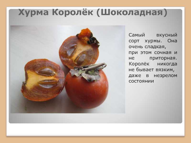 Как отличить хурму от королька? -