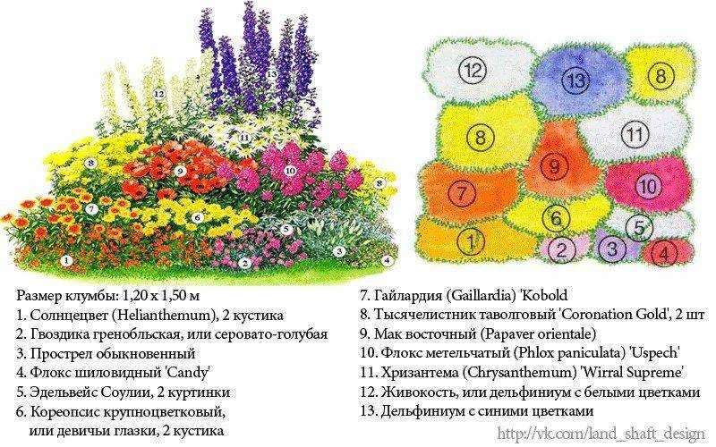 Как создать розарий на дачном участке?