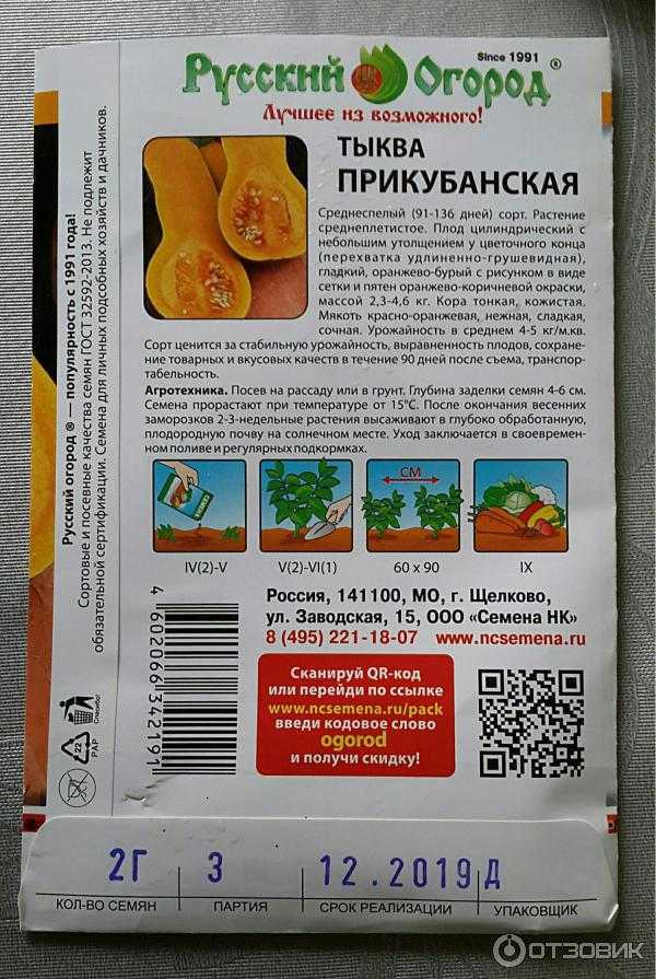 Тыква баттернат: характеристика и описание сорта с фото