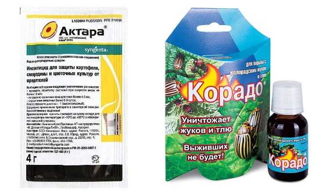 Как применять препарат актара для обработки плодовых деревьев и растений