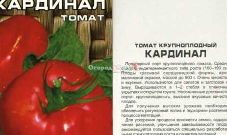 Томат «кардинал» - отзывы, описание, выращивание и уход