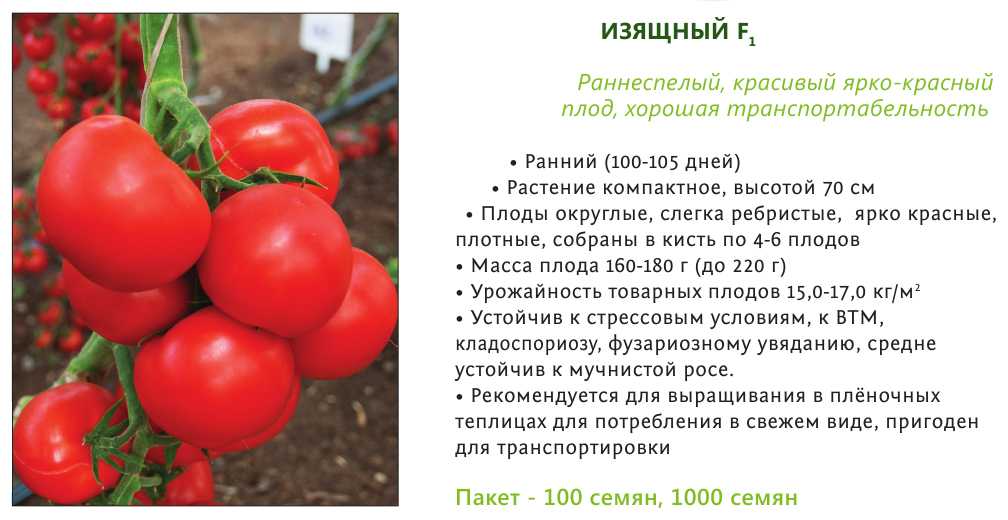 Шапка мономаха – русский томат. особенности выращивания культуры, описание плодов
