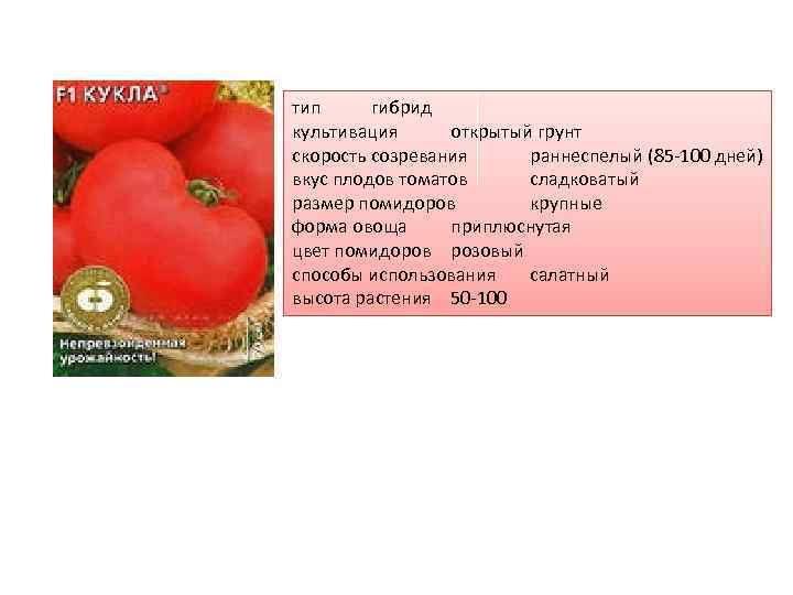 Крупноплодный, розовый томат любимый праздник: полное описание, рекомендации по выращиванию, отзывы