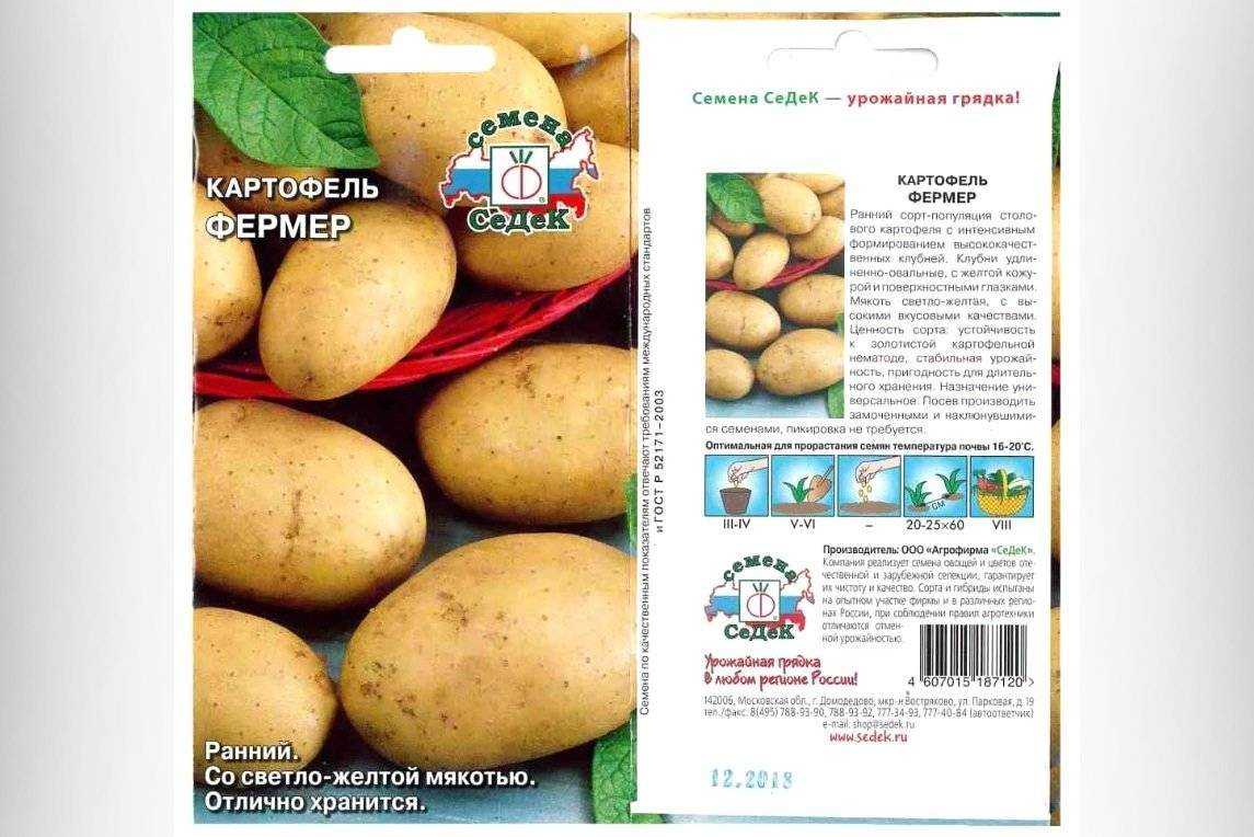 Картофель хозяюшка: описание сорта, фото, отзывы о вкусовых качествах и сроках созревания, особенности хранения и выращивания, характеристика урожайности