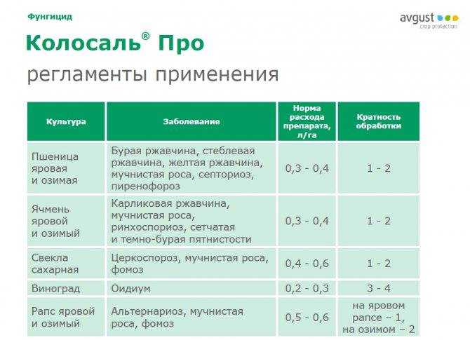 Днок препарат для опрыскивания осенью