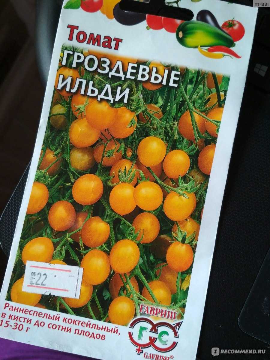 Сорт томата ильди: фото, отзывы, описание, характеристики.
