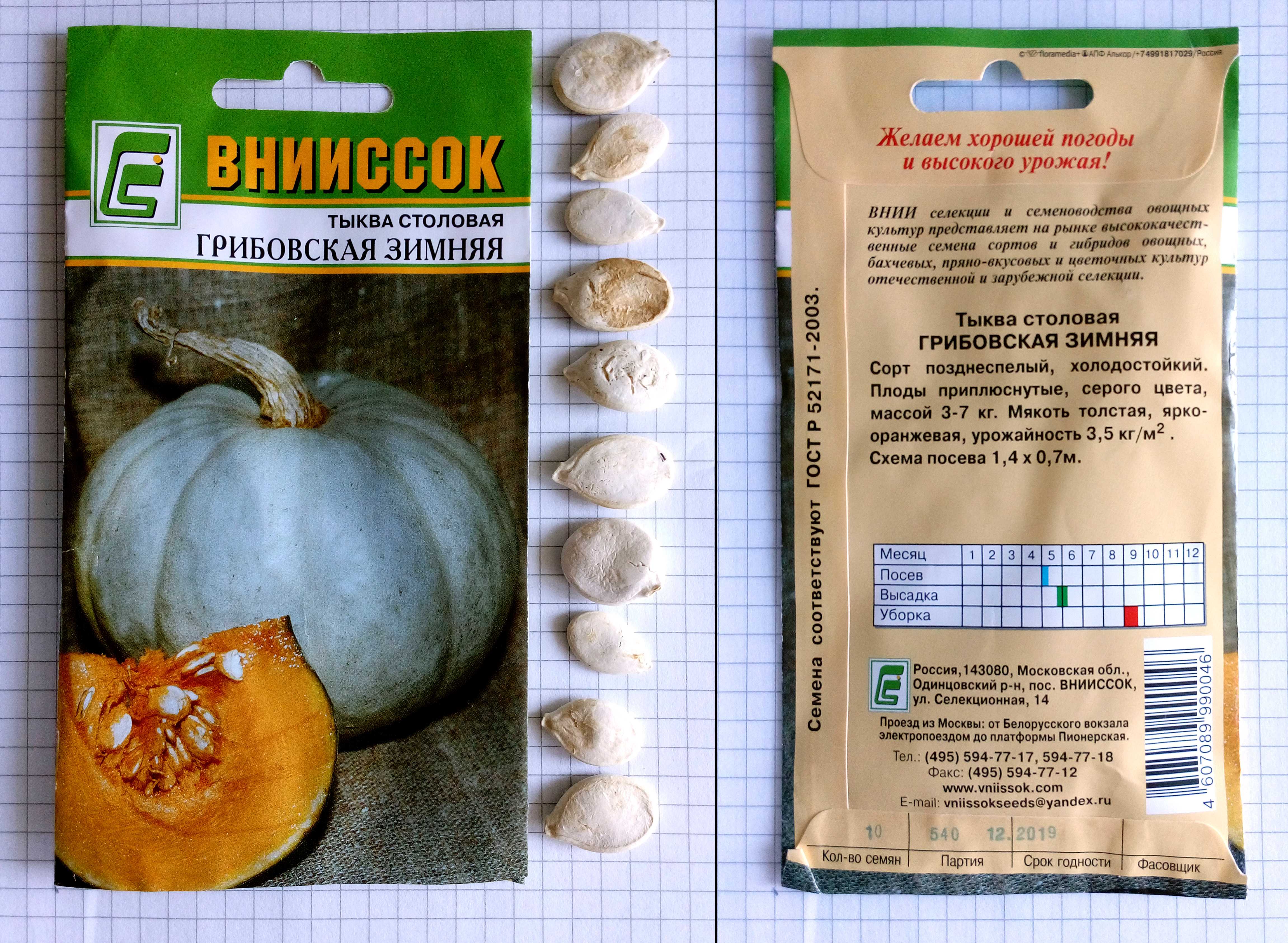 Лучшие сорта тыквы с описанием