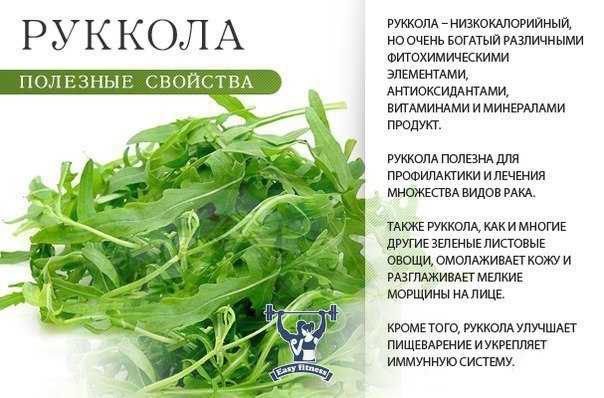 Руккола горчит как исправить