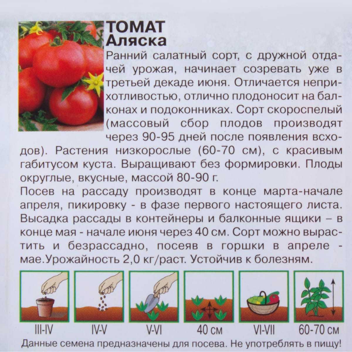 Томат Аляска: описание сорта Особенности выращивания низкорослого, раннего томата в открытом и защищенном грунте, а также в виде контейнерной культуры