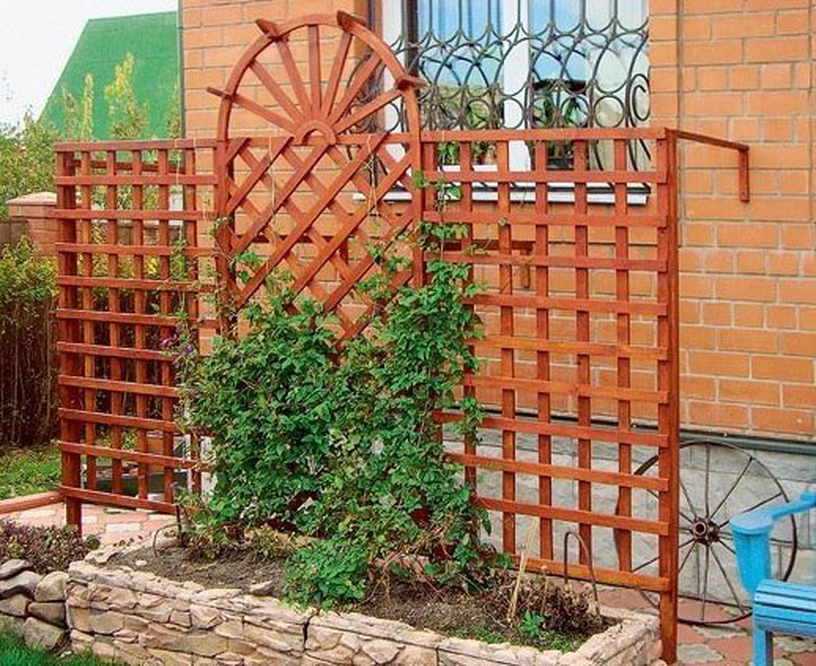 Шпалеры для вьющихся растений своими руками: особенности, формы, материалы и варианты монтажа