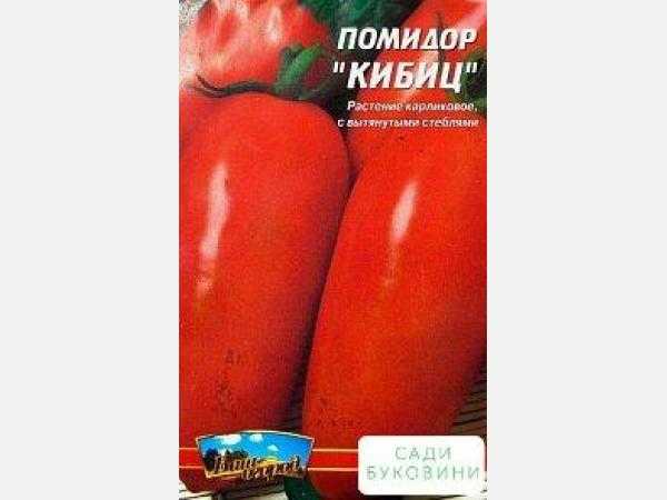Легко ли выжить в израильских кибуцах?