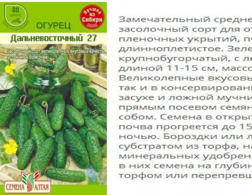 Лучшие сорта огурцов для открытого грунта по рекомендациям селекционеров и огородников