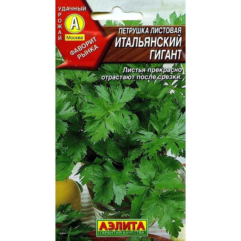 Семена петрушка листовая итальянский гигант (проф-почта): описание сорта, фото