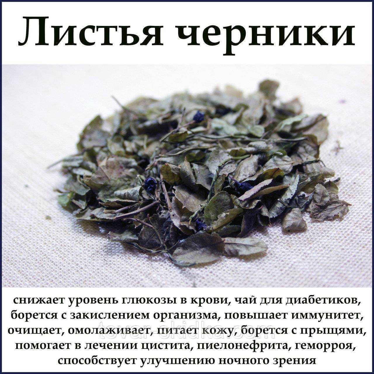 Черника: лечебные свойства и применение | food and health