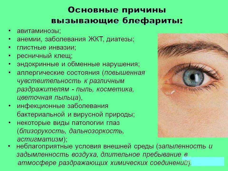Болезни можжевельника и вредители – причины заражения, виды, способы лечения, меры профилактики, фото Эффективные препараты против грибковых заболеваний и паразитов