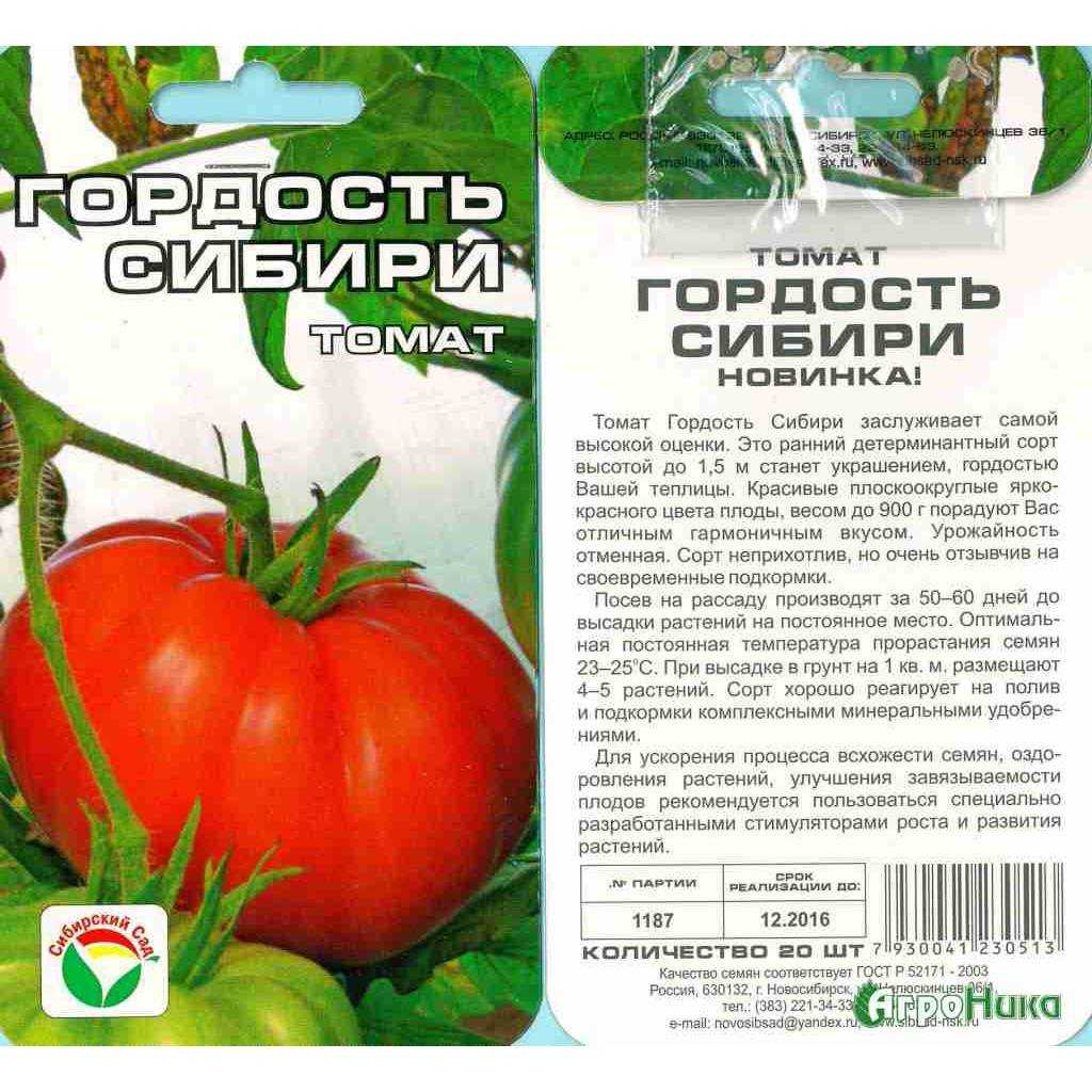 Характеристика и описание сорта томата дачник, его урожайность