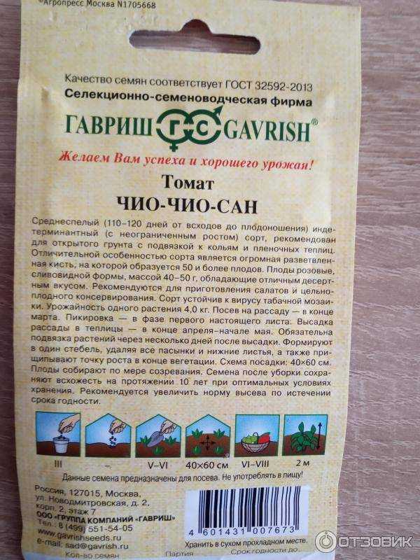 Томат чио чио сан - индетерминантный гибрид первого поколения