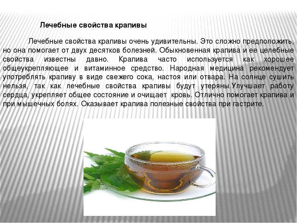 Выращивание имбиря в домашних условиях: секреты и правила