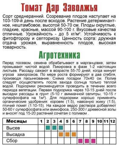 Томат «дар заволжья»: характеристика и описание сорта