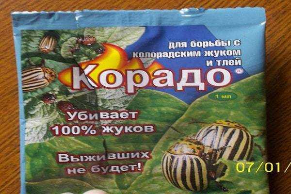 Актара: инструкция по применению, отзывы, как разводить