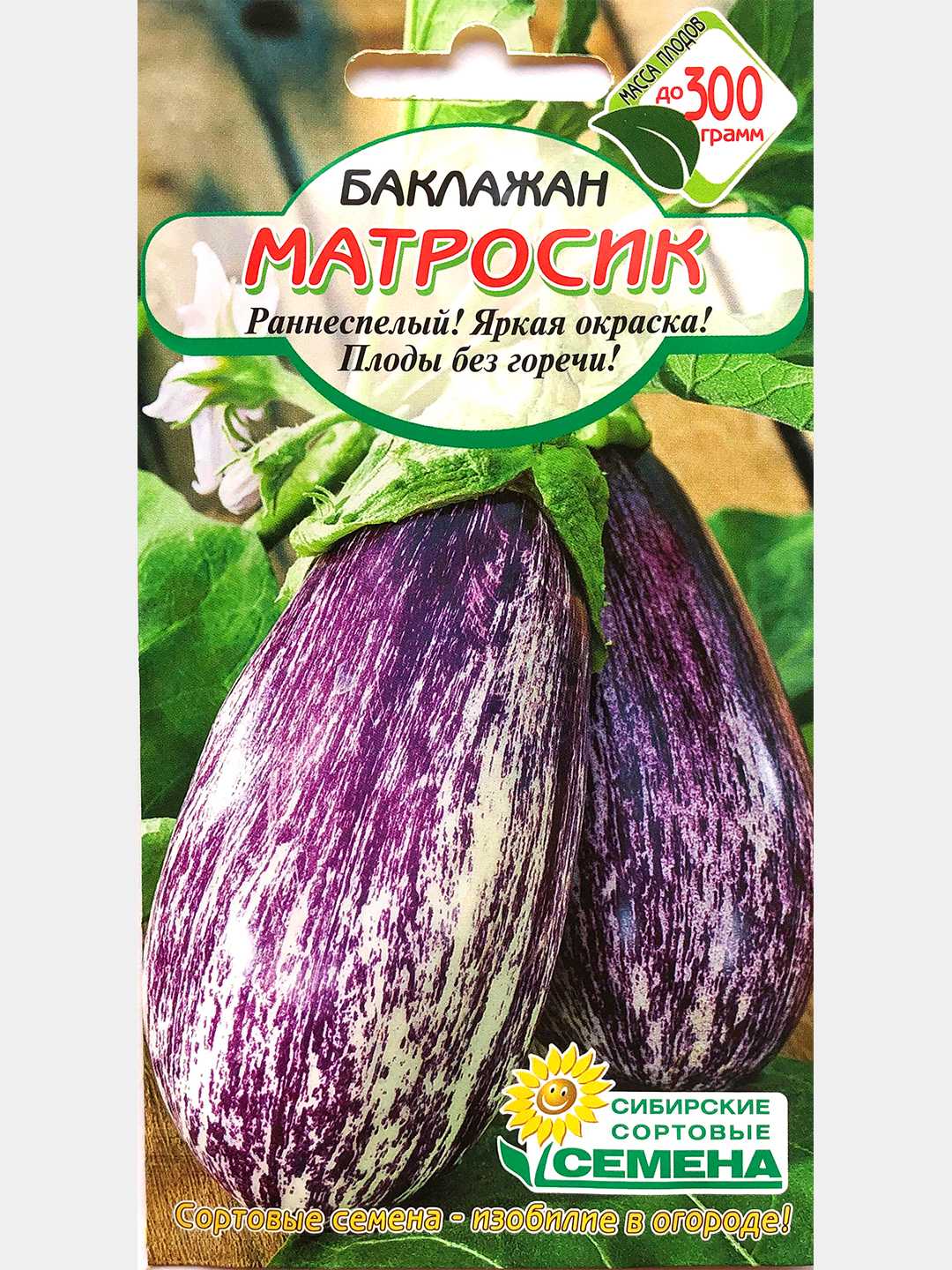 Матросик баклажан: описание, выращивание, уход, фото