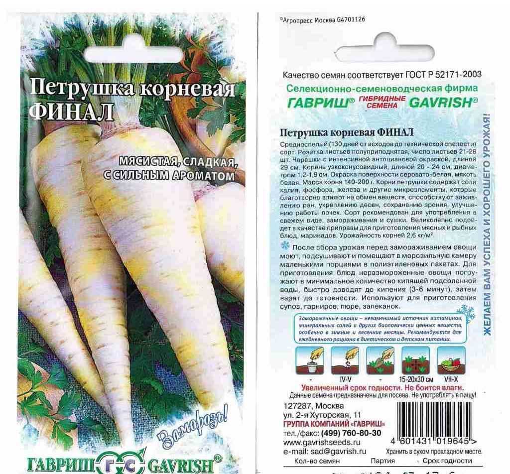 Популярные сорта петрушки с описанием: особенности ухода