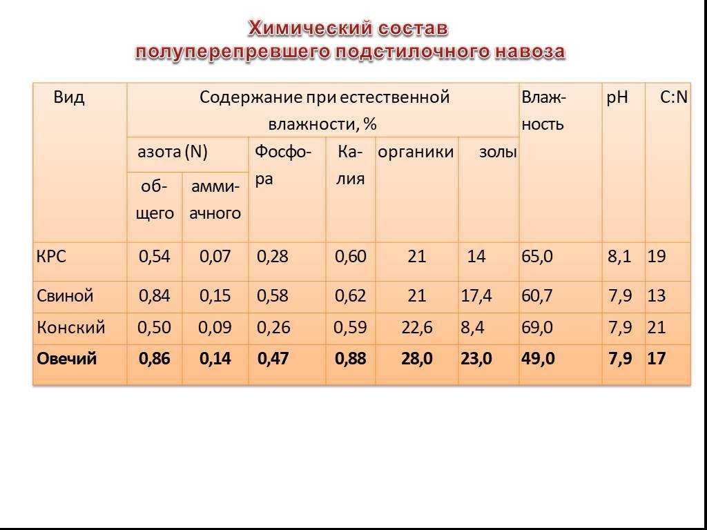 Навоз конский как удобрение (4 вида): применение перегноя, чем полезен для огорода, состав, зачем разводить, что можно подкармливать