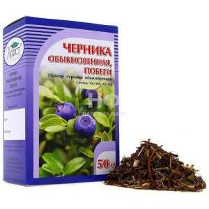 Как применять листики черники для пользы организму