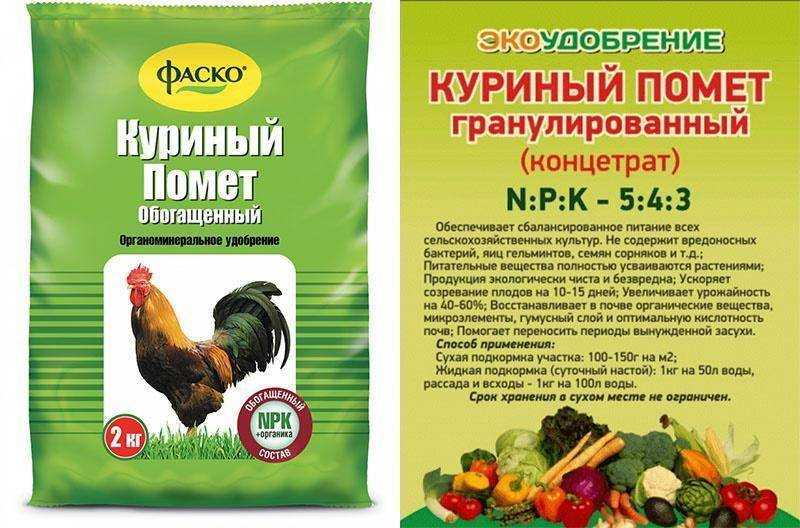 Голубиный помет как удобрение, применение, польза