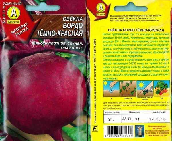 Технология выращивания столовой свеклы