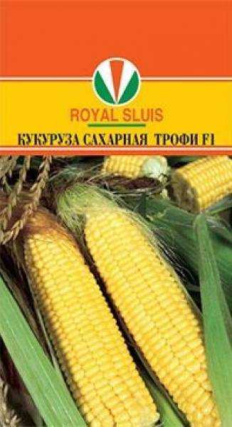 Топ 50 лучших сортов сладкой кукурузы с описанием и выращиванием
