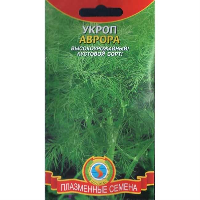 Лучшие сорта кустового укропа и их описание