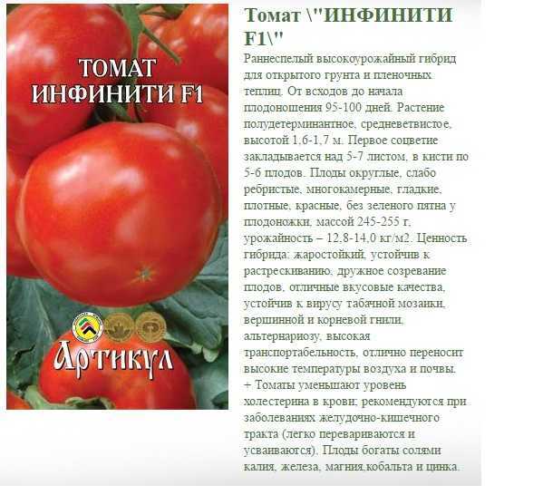 Томат жигало − описание сорта, фото, отзывы огородников, достоинства и недостатки, урожайность