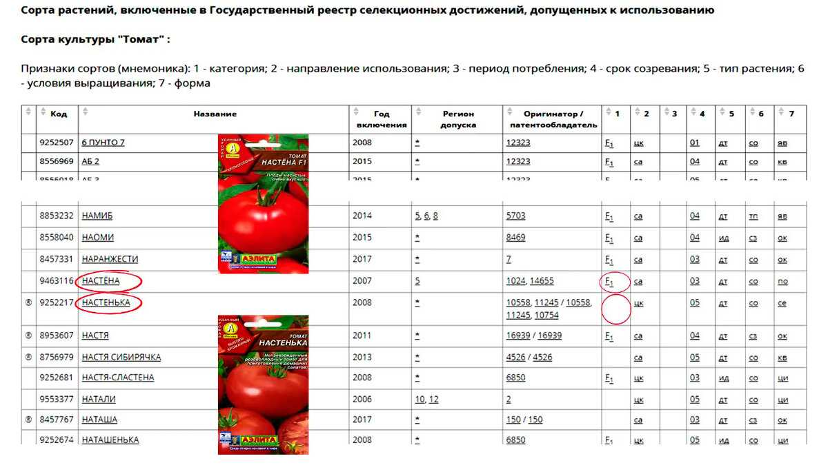 Топ-10 лучших сортов томатов для теплиц – рейтинг 2023 года